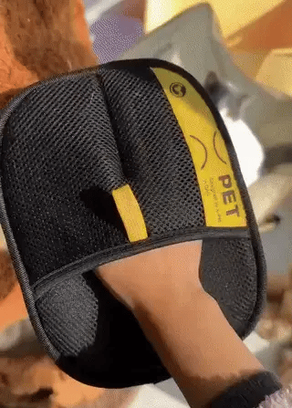 Petssbox ™ Double-sided Grooming Gloves Pet Hair Remover