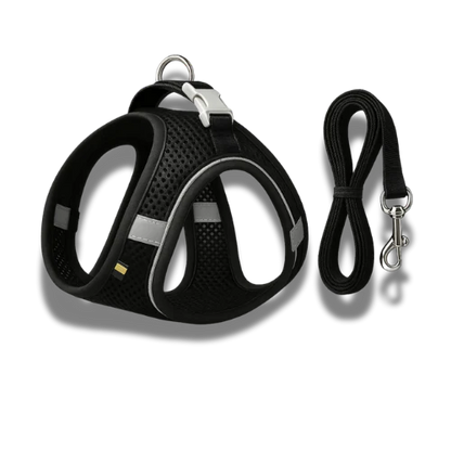 Stimulicat Harness