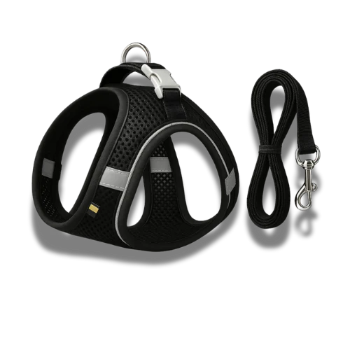 Stimulicat Harness